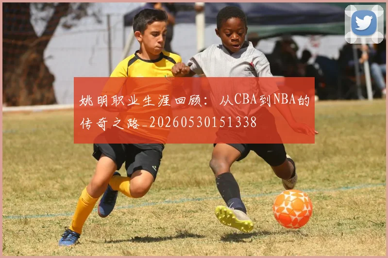姚明职业生涯回顾：从CBA到NBA的传奇之路_20260530151338
