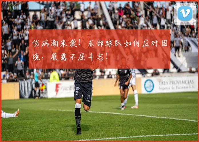 伤病潮来袭！东部球队如何应对困境，展露不屈斗志！